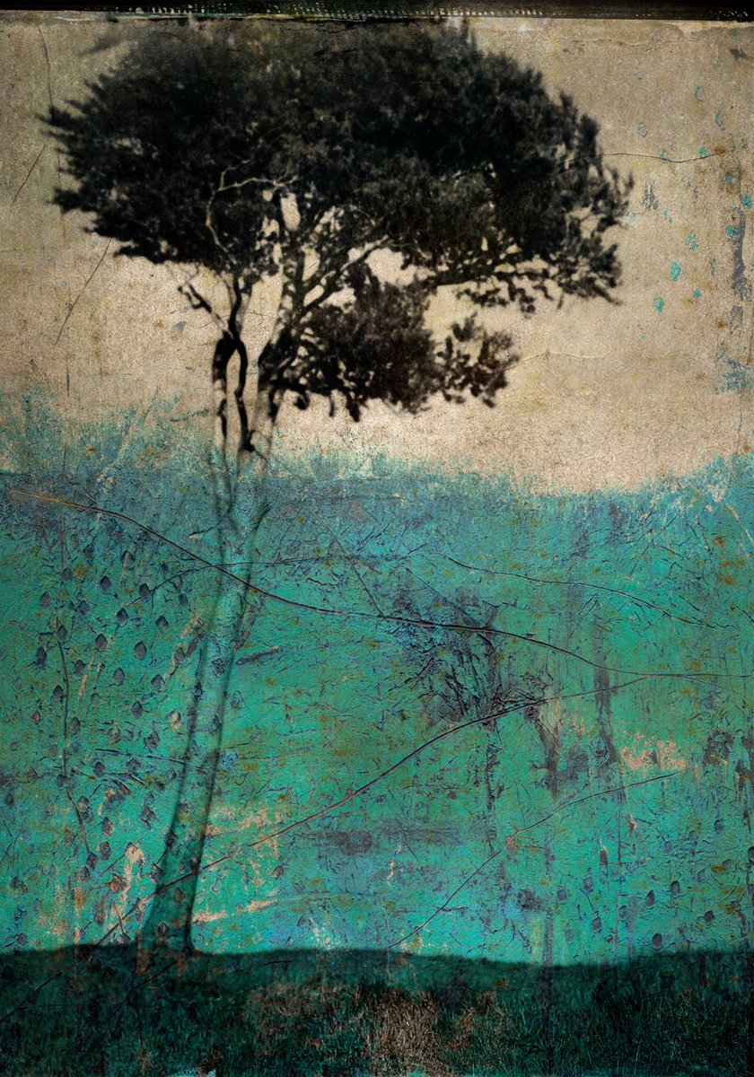 Landscape Photograph By Claire Newman-Williams, 18 X 24, Solitude, Original Artwork