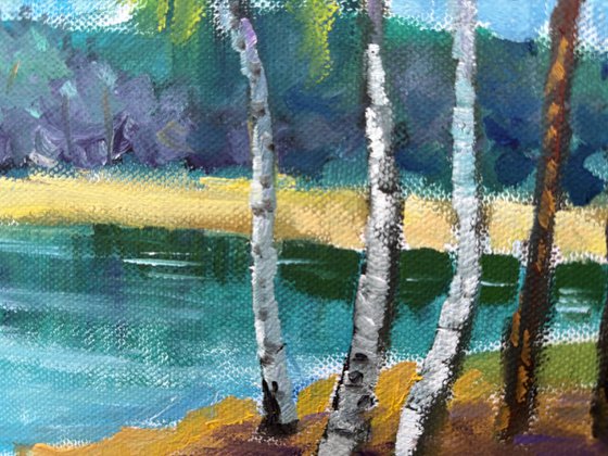 Birches by the lake. Pleinair