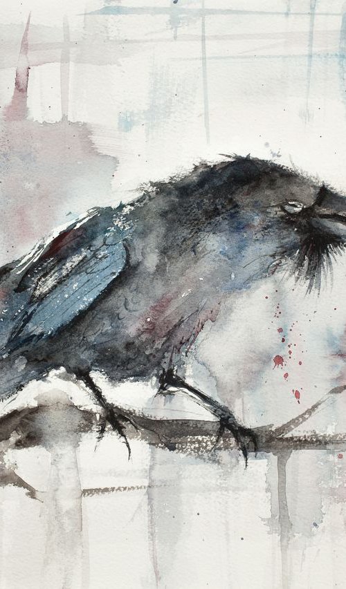 Old Raven by Tomasz Mikutel