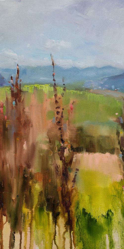 Tall grasses by Olha Laptieva