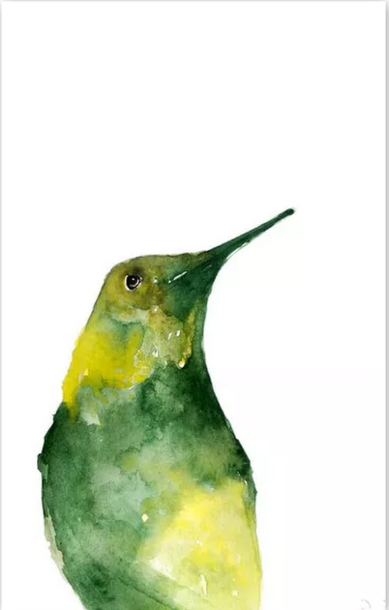 Birds, Set of 6