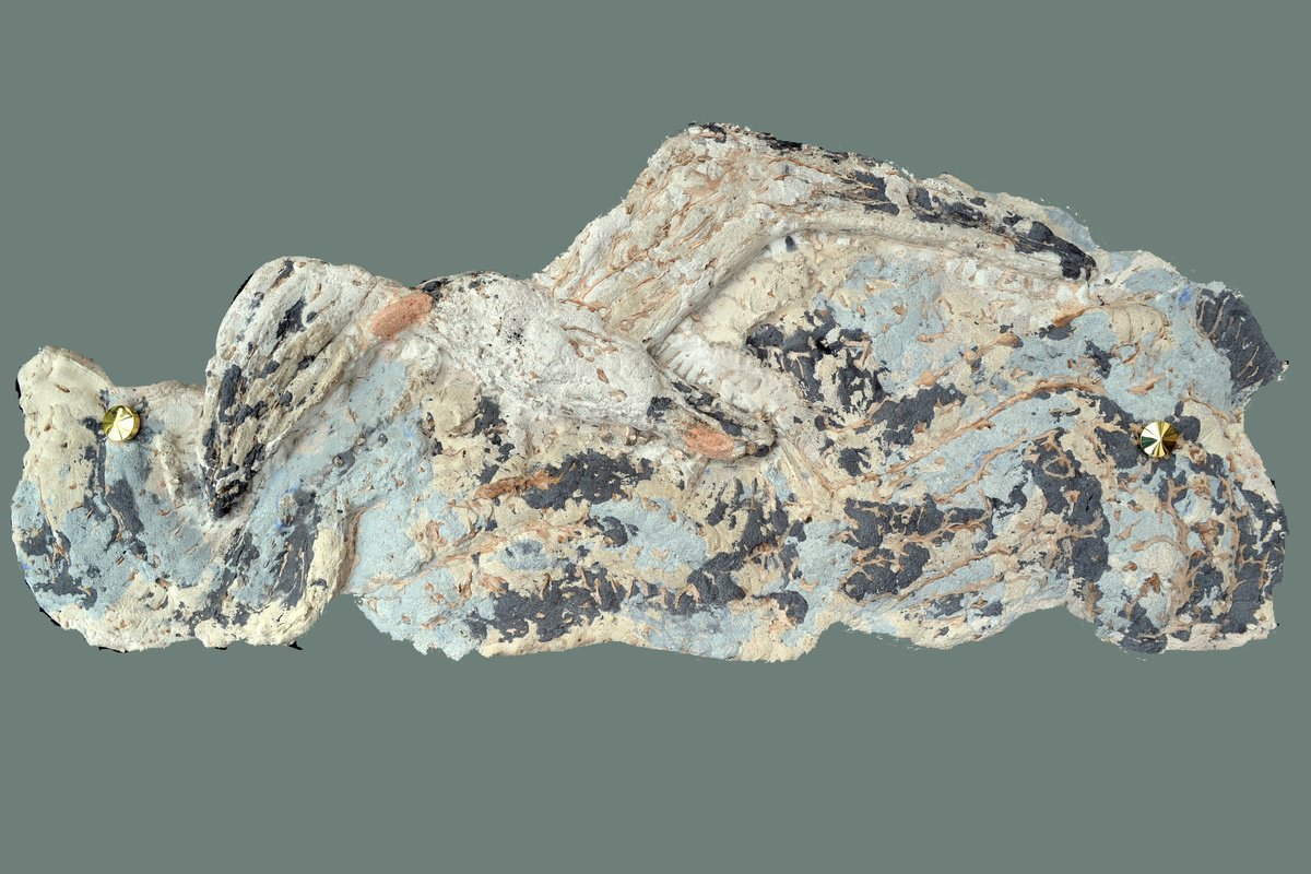 Impressionistic Animal Relief By Thierry Vobmann. Abstract ., 23 X 10", Jonathan Livingston, Original Artwork