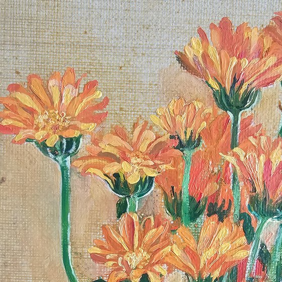 Orange Marigolds