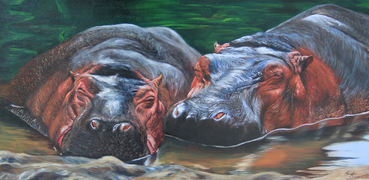Photorealistic Animal Oil Painting By Kristina Waddingham, 39 X 20", Sleeping Hippos, Original Artwork