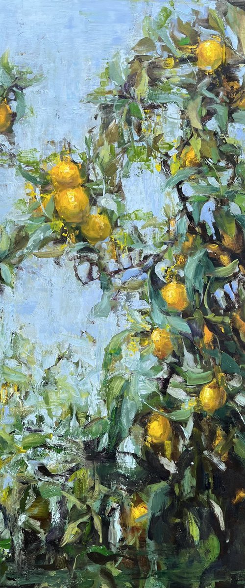 LEMON TREE by Elena Mashajeva-Agraphiotis