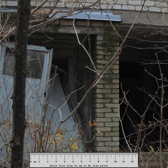 #8. Pripyat Small store 2 - XL size