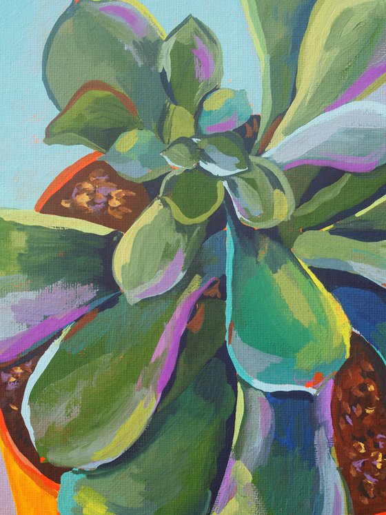 Pet succulent - original artwork