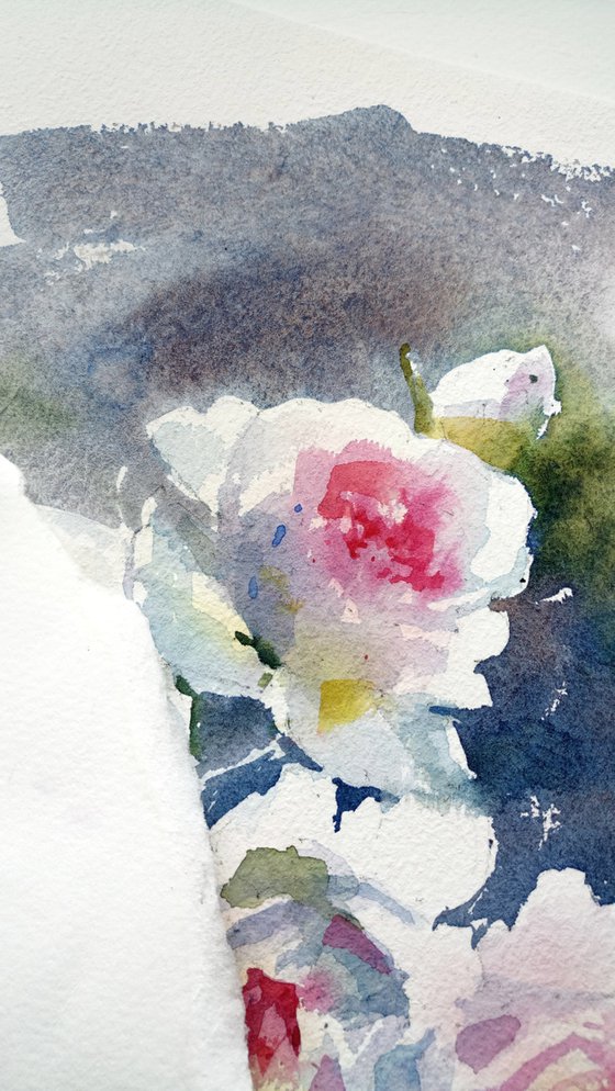 "Rose light"  original watercolor