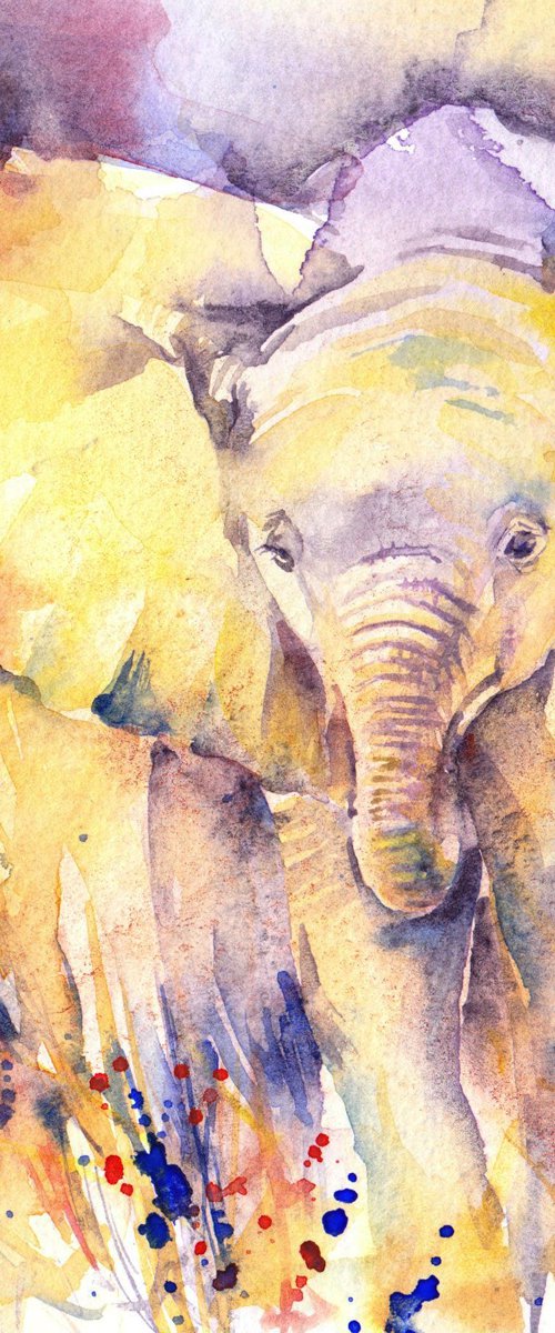 Baby elephant, original watercolour painting by Anjana Cawdell