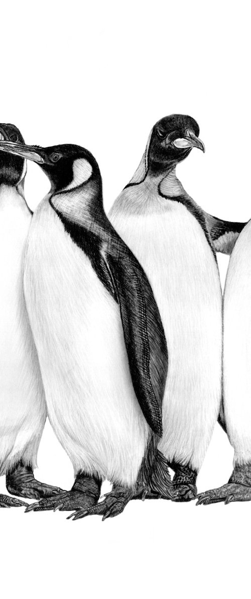 Penguin Night Out by Paul Stowe