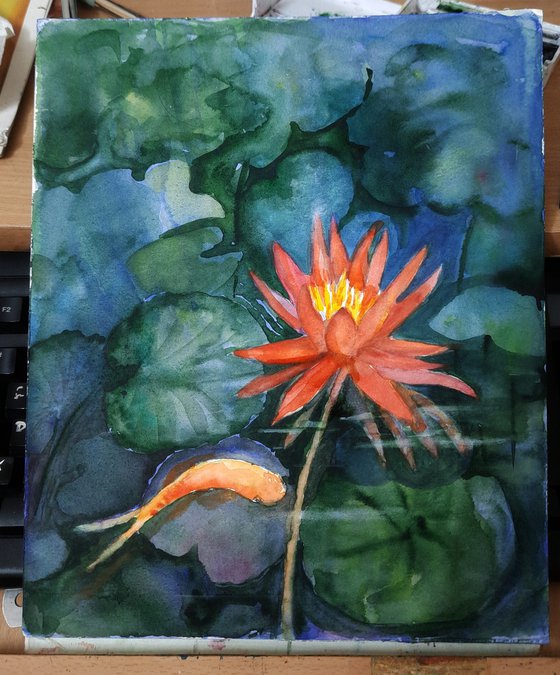 Water lily and Koi pond
