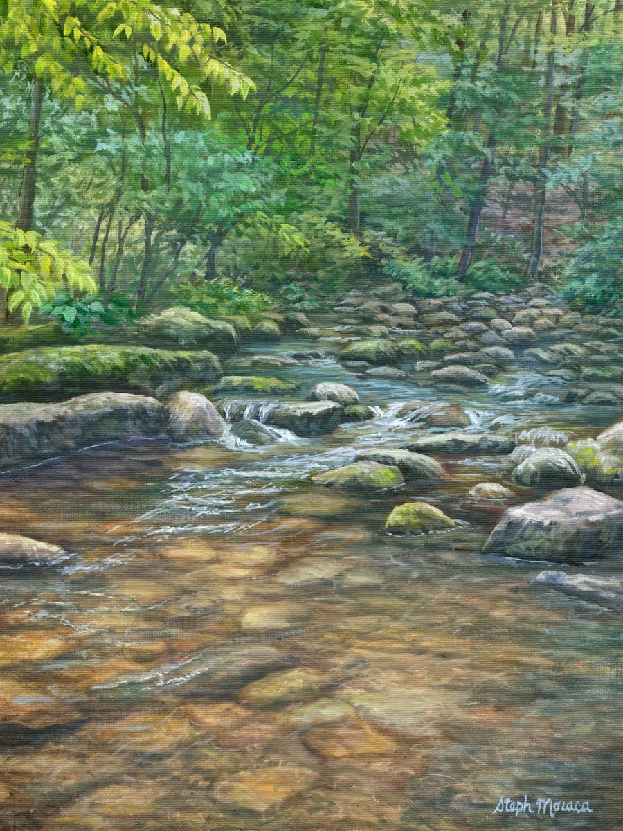 Blue Ridge Brook by Steph Moraca