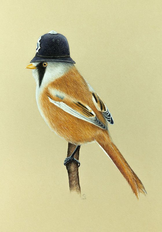 Original pastel drawing bird "Bearded reedling"