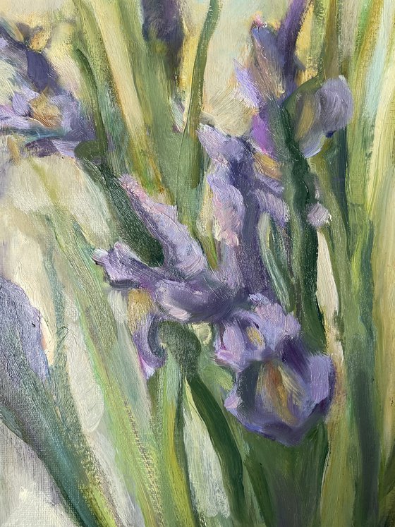 Echo of Spring
