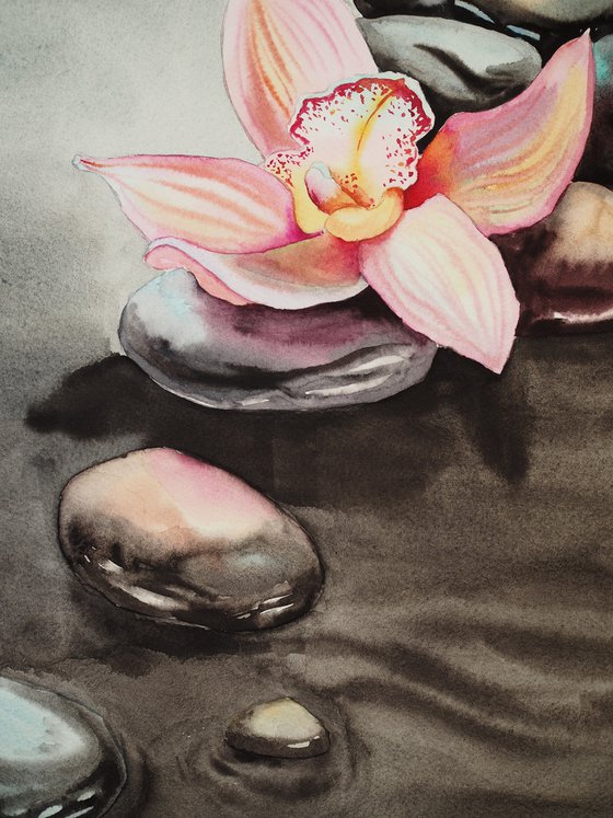 Zen spa, orchid and seastones