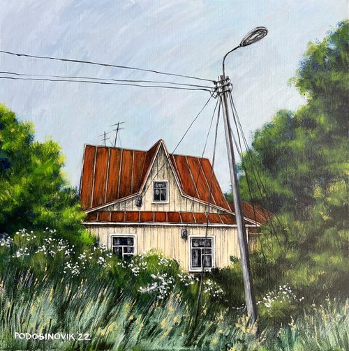 Country house by Sasha Podosinovik