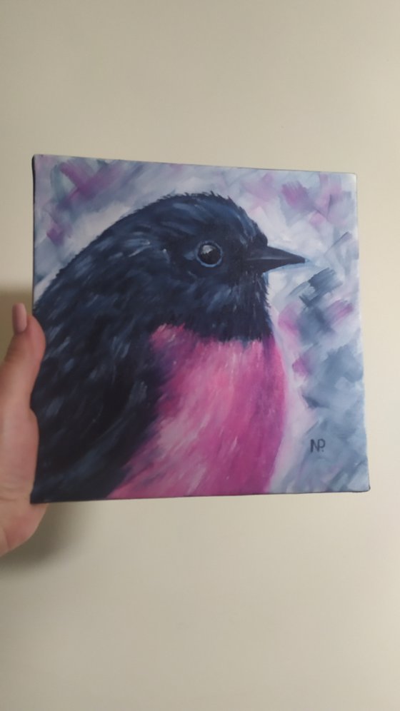 Pink Robin, original bird painting, small art, Gift, art for home