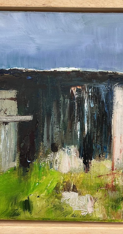 Allotment Shed by Sandra Haney