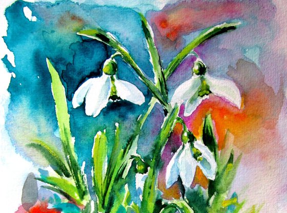 Snowdrops III