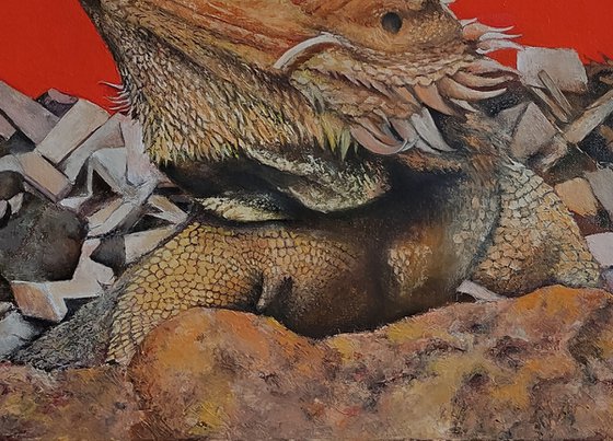 Iguana