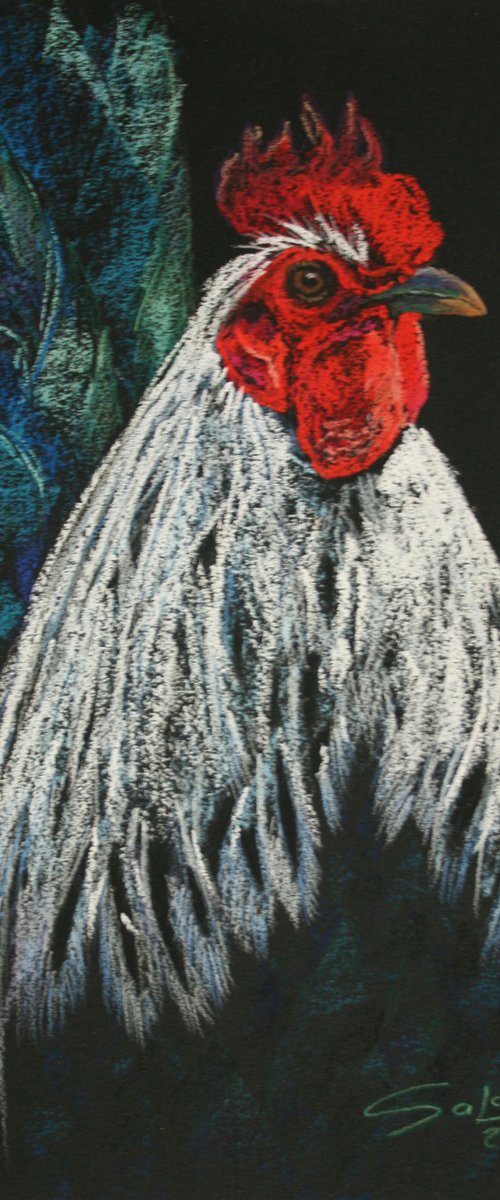 Rooster VIII - Pet portrait /  ORIGINAL PAINTING by Salana Art Gallery