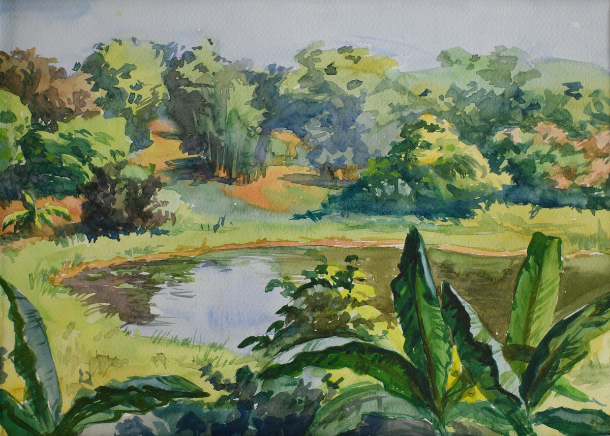 HD25420060 Burma. Yangon pond by Hanna Davydchenko