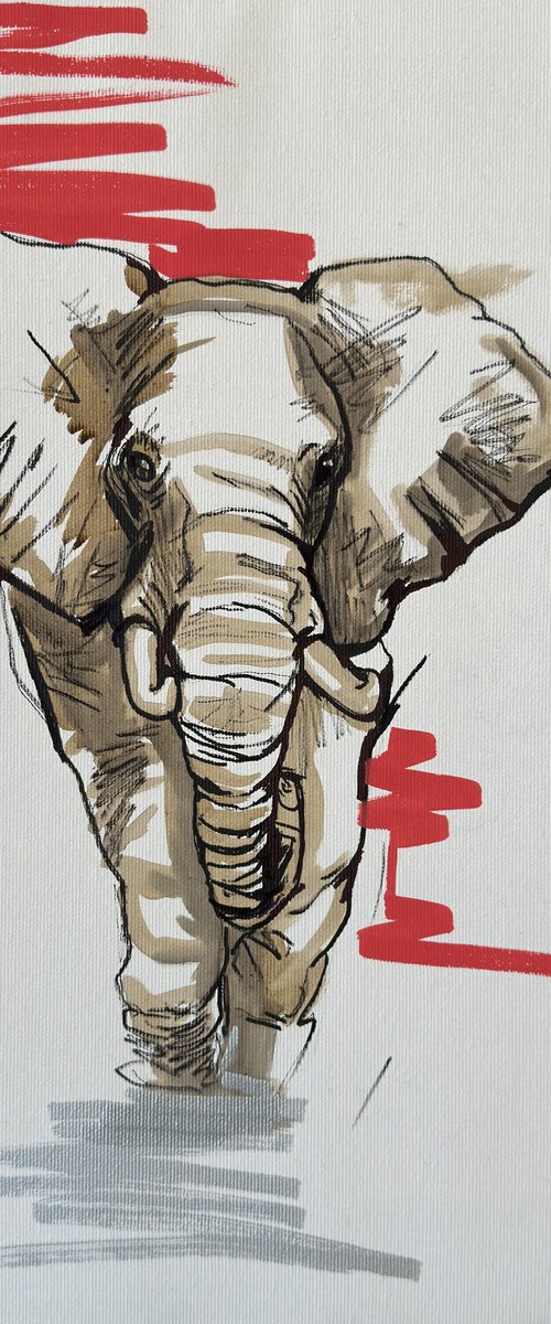 "African Elephant" by Nikola Gulev