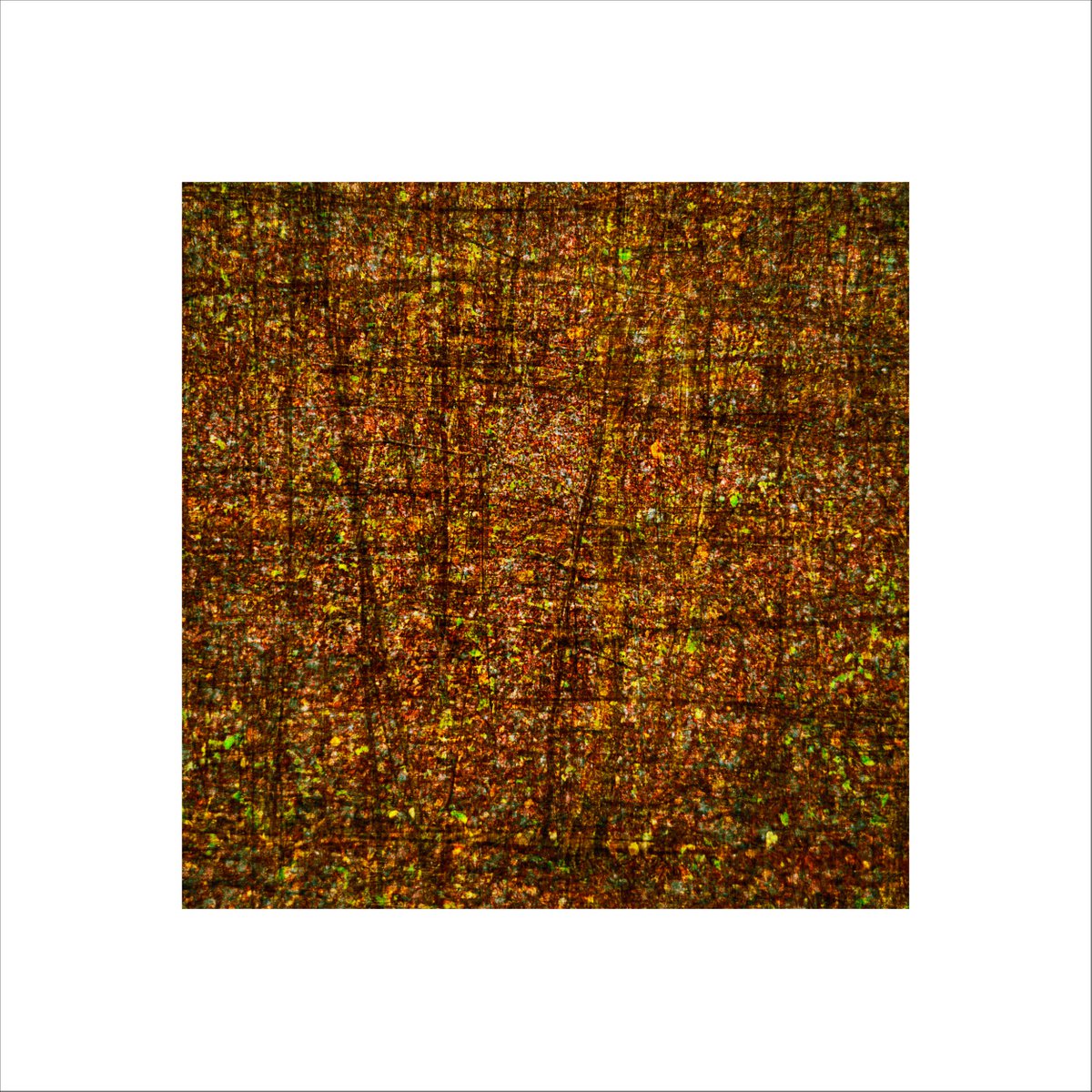 Abstract Landscape Photograph By Paul Harrison, 30 X 30", Signs #30, Original Artwork