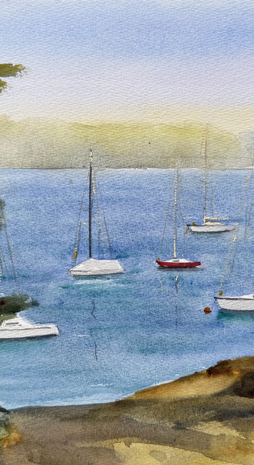 Sailing boats at Mosman bay by Shelly Du