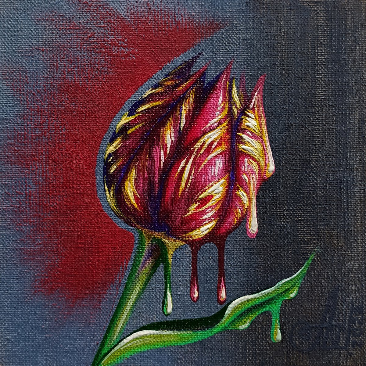 Tulip (passion) by Anna Shabalova