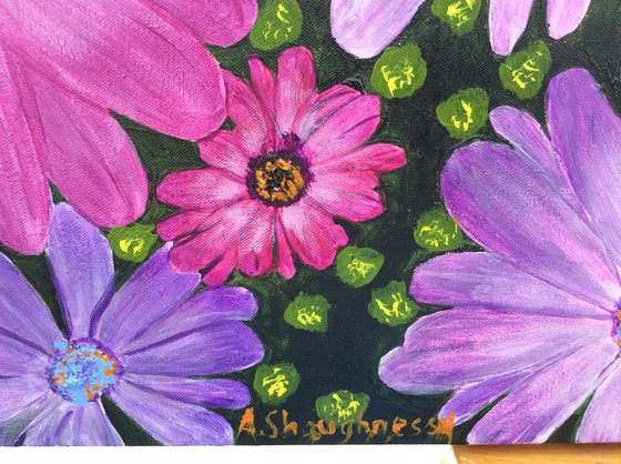 Daisies