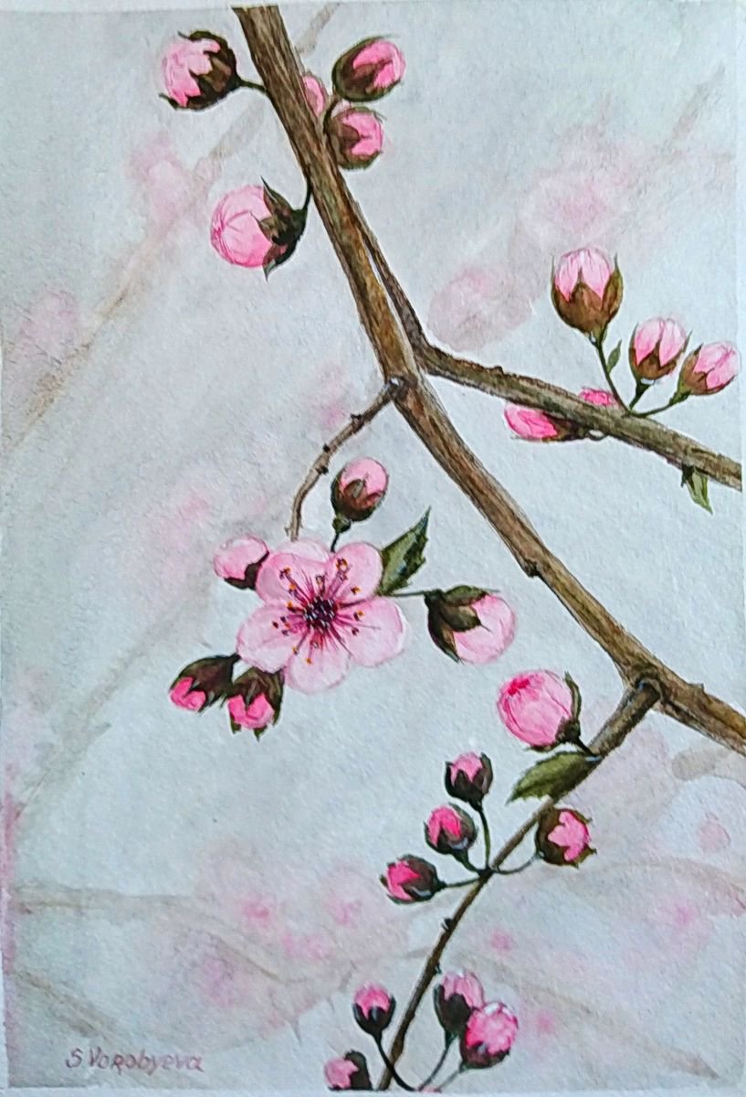 Blossom by Svetlana Vorobyeva