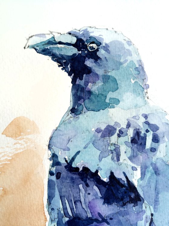 Watercolor sketch "Raven"
