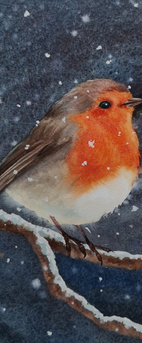 Set2 Robin Bird&Red Cardinal by Olga Beliaeva Watercolour