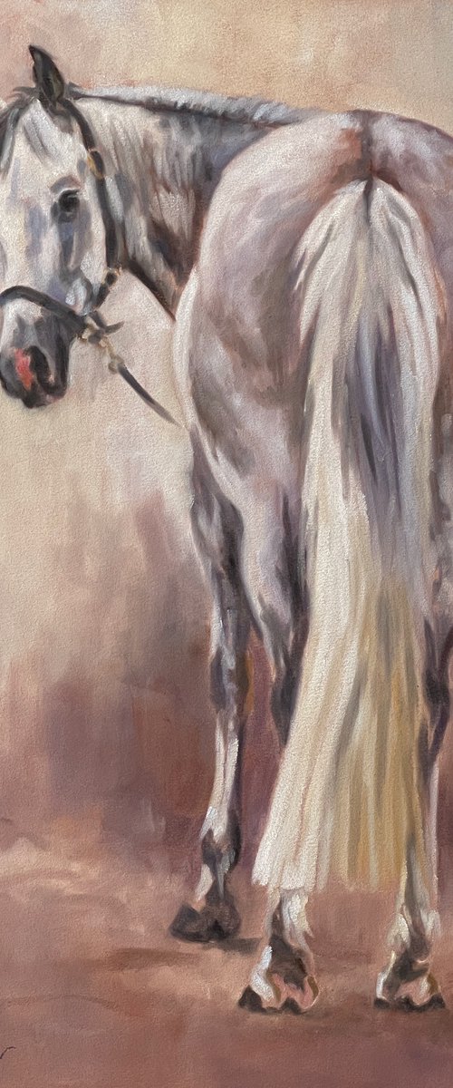 Otto - Dapple Grey Horse by Lorna Lancaster ASEA