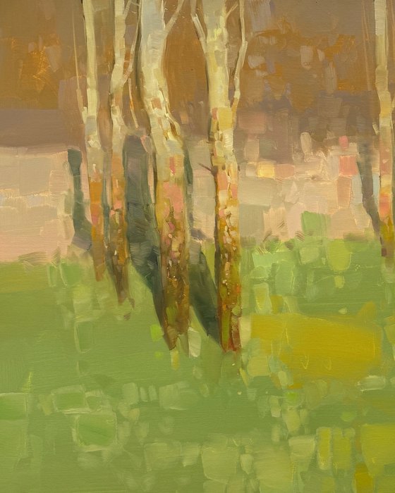 Birches Trees