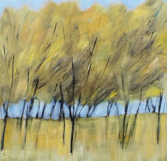 Windswept Trees