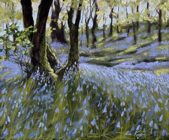 Bluebell wood