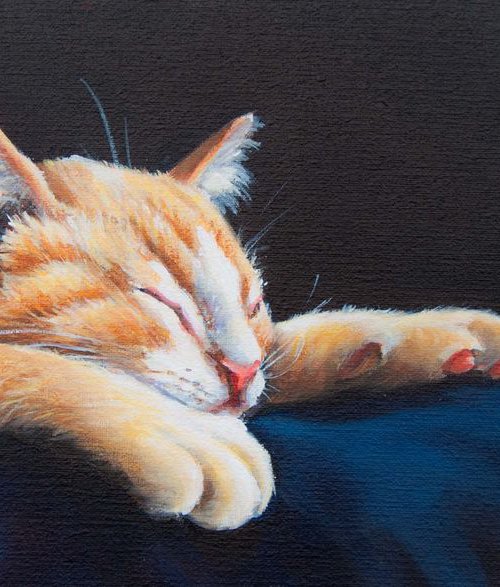 Sleeping by Norma Beatriz Zaro