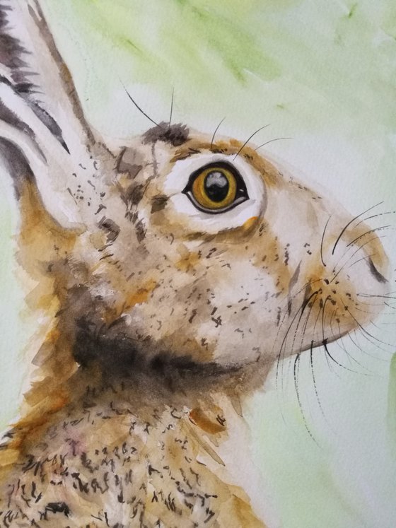 The Hare. Watercolour Animal Art on paper. 30cm x 42cm. Free Shipping