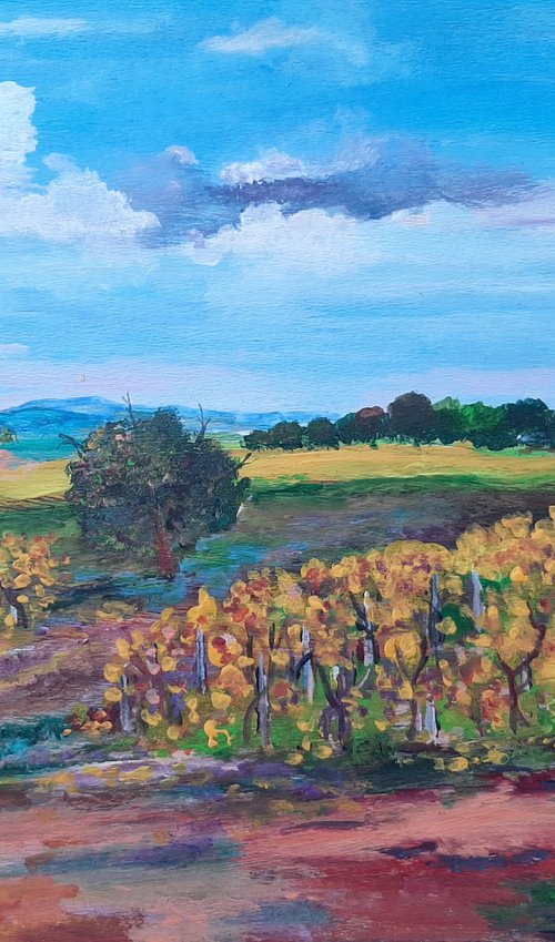 VINEYARD by Zoran Mihajlović Muza