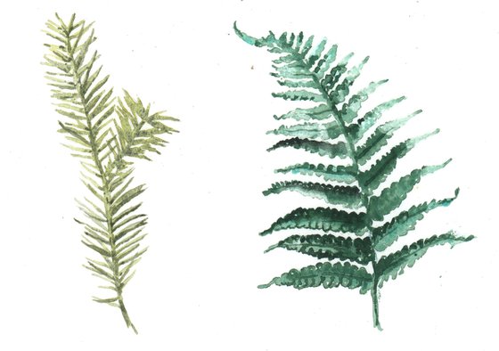 Forest Flora