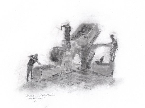 Vendanges 11