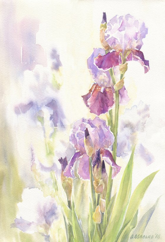 Irises in a garden / ORIGINAL watercolor 15x22 (38x56cm)