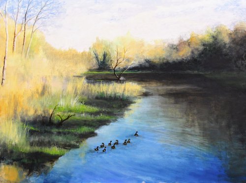 Ducks in a Row by Ben Jurevicius