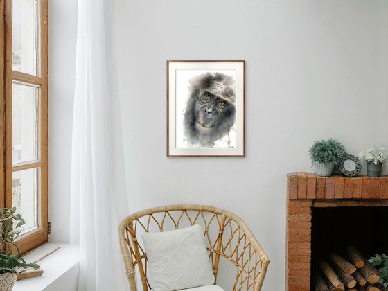Monkey