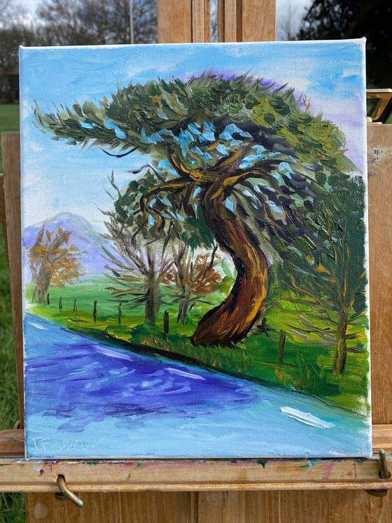 Old pine tree. Pleinair