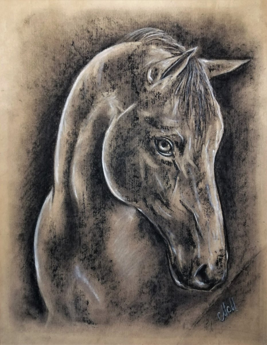 Horse by Mateja Marinko