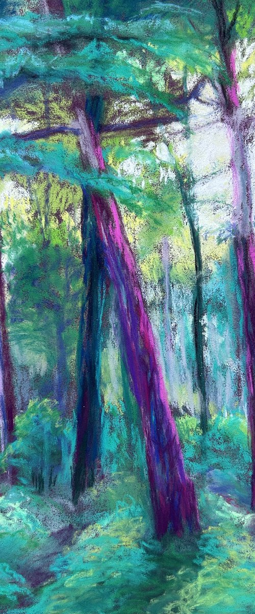 Shades of Summer by Jo Lillywhite