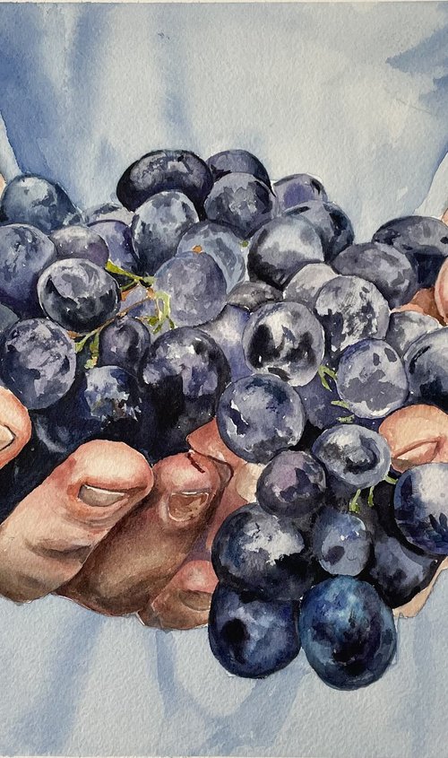 Harvest Bliss: Farmer's Hands with Grapes by Irina Kurganskaya